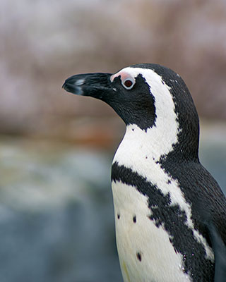 Wait, be sure to get my good side...