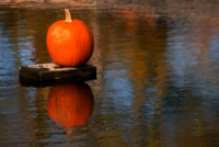Fall Reflections