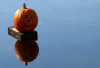 Smiling in the pond.